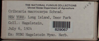 Image Associated With the Occurence